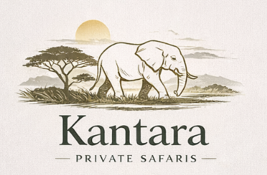 Screenshot 2026-03-02 at 16.39.43